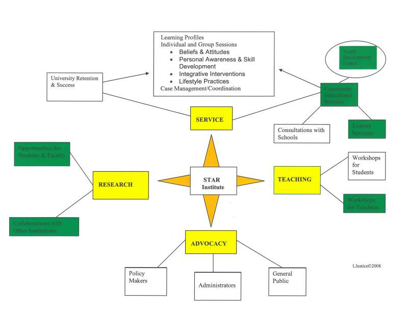 Star Institute Diagram